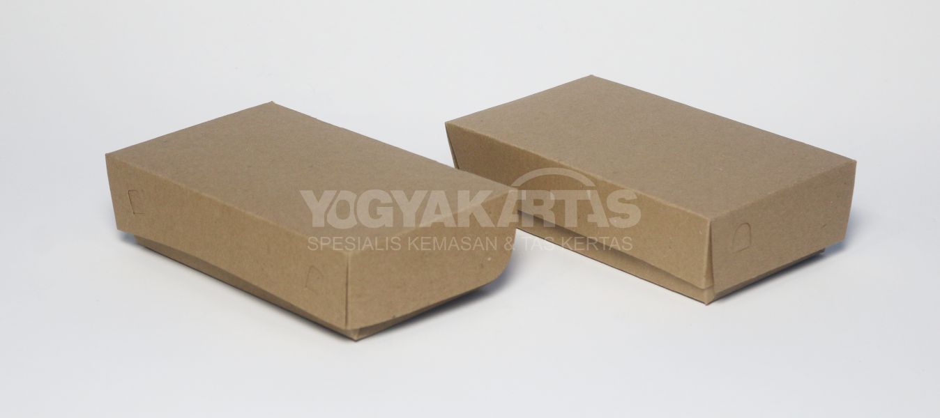Lunch Box Anti Bocor